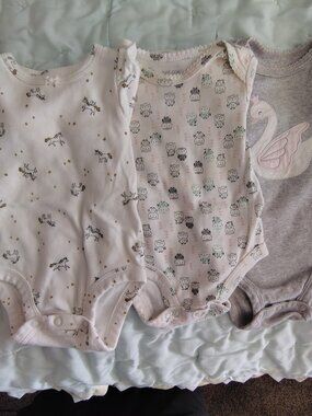 Baby Girl Long Sleeve Onesies Mixed Lot Size 3 Months